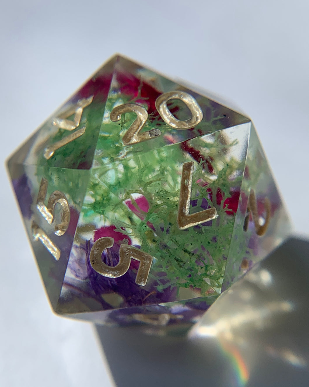 Enchanted Waters D20