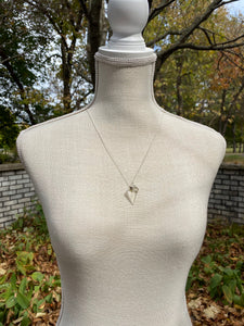 Enchanted Rose D4 Necklace - silver chain