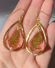 Load image into Gallery viewer, Baby Fern D4 Earrings - Blush